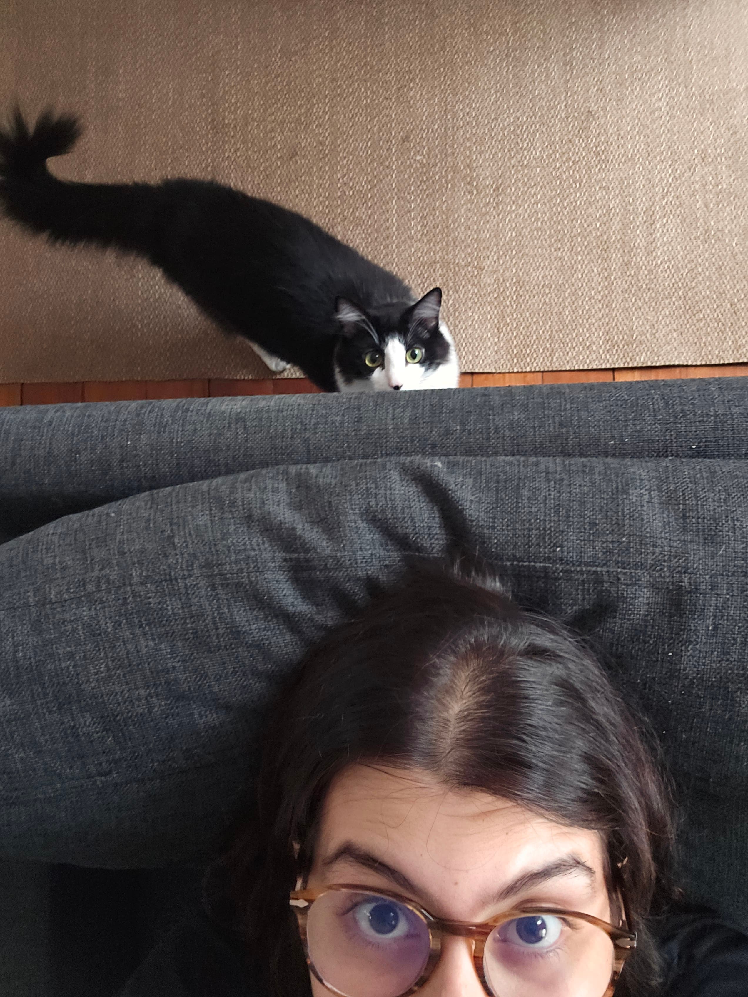 Foto 9 de Fernanda e Pedro