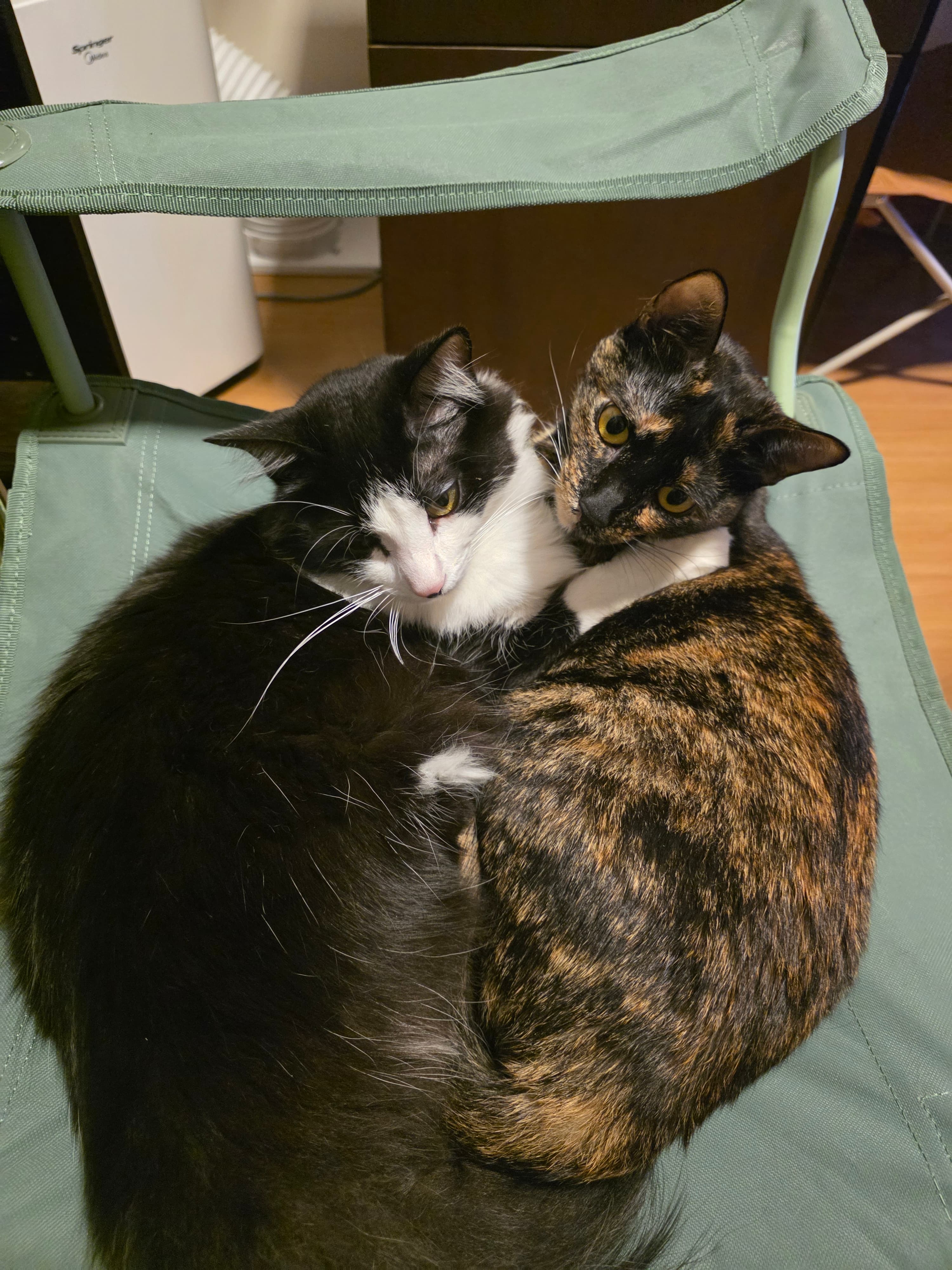 Foto 15 de Fernanda e Pedro