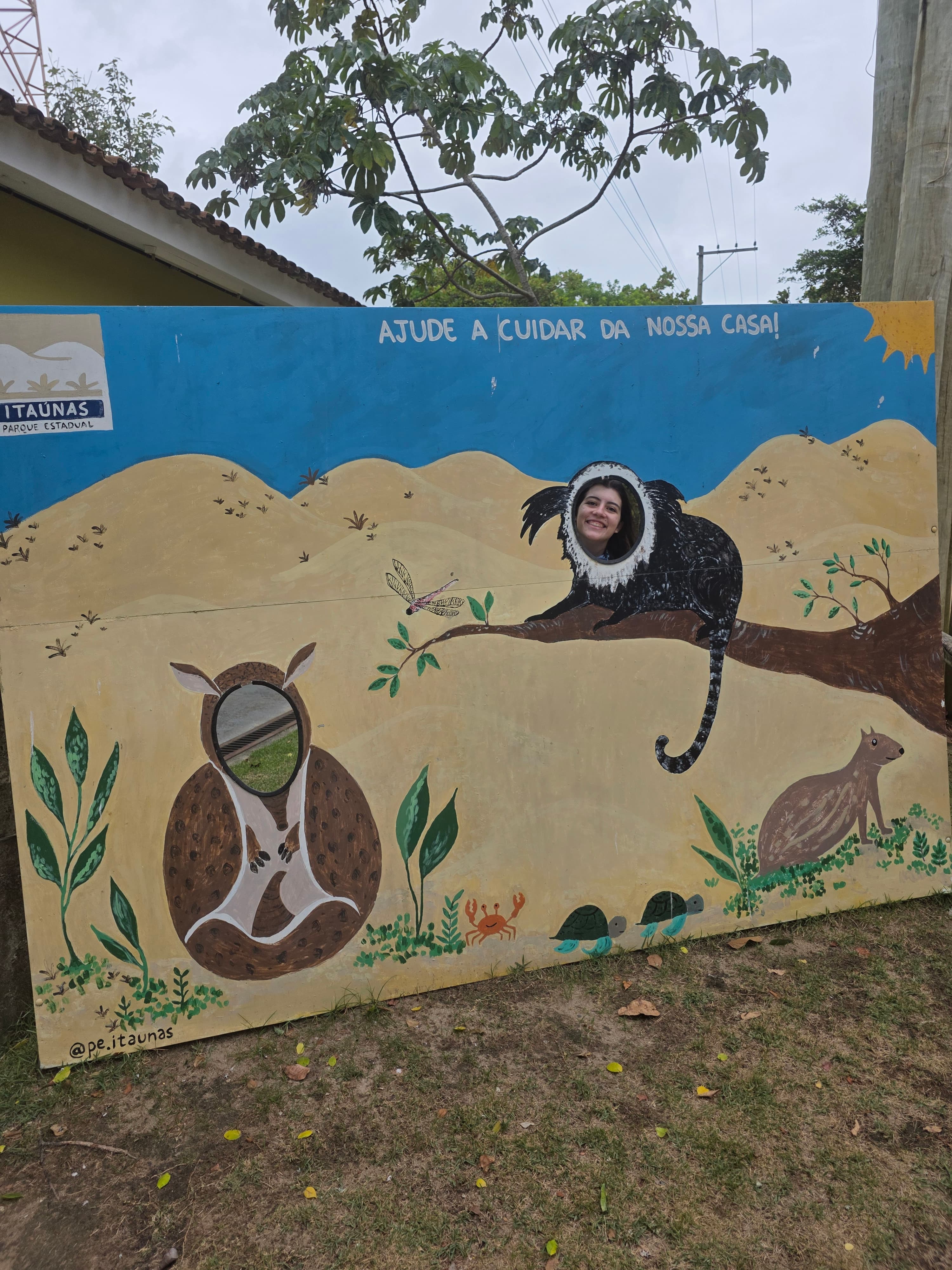 Foto 17 de Fernanda e Pedro